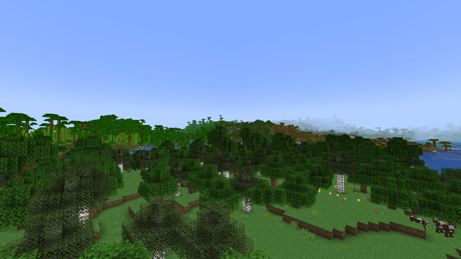 Looking northeast to the jungle