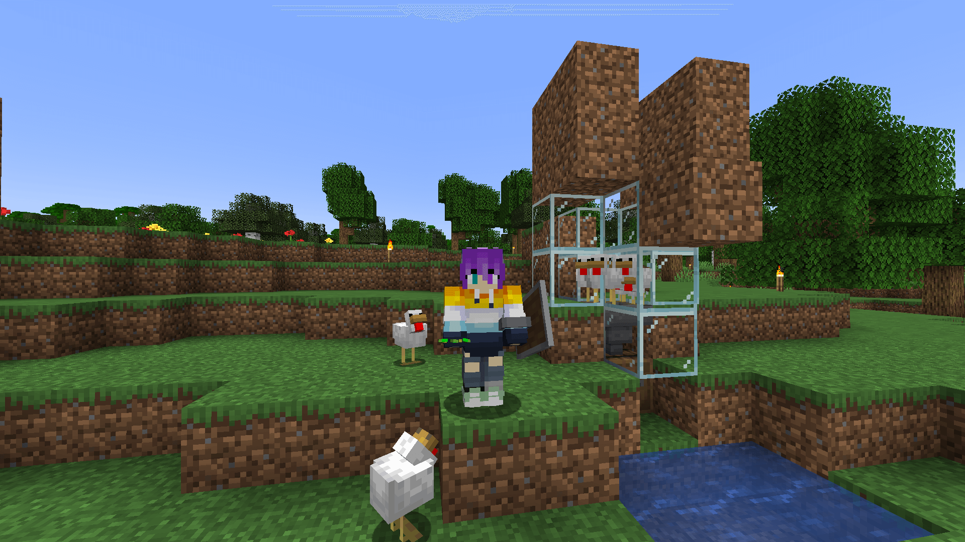 Ela's cramming chicken, yeah it's compact as heck! A small glass holding cell containing several chickens standing on a hopper.