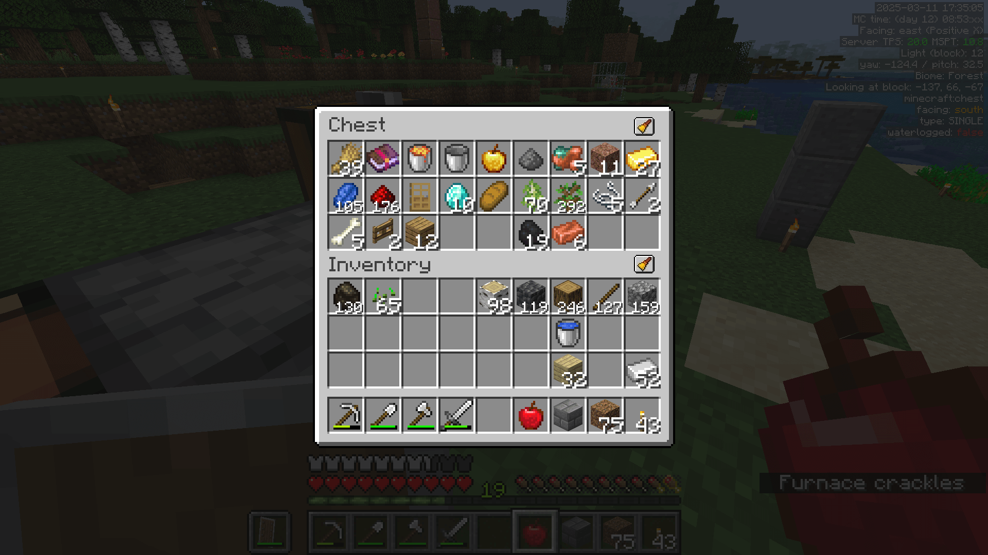 I didn't take screenshots of the cave either. I trust you know what Minecraft caves look like. A chest inventory containing ores and dungeon loot, including 10 diamonds.
