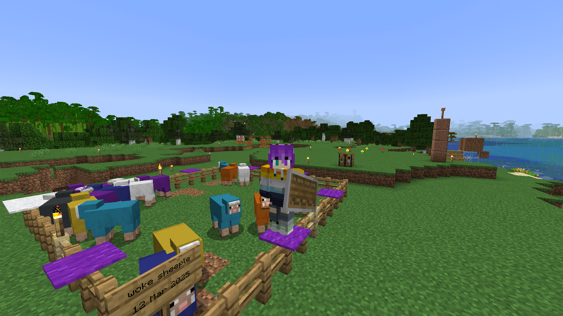 My pride-coloured sheep! 🌈 A fenced area enclosing sheep of various colours.