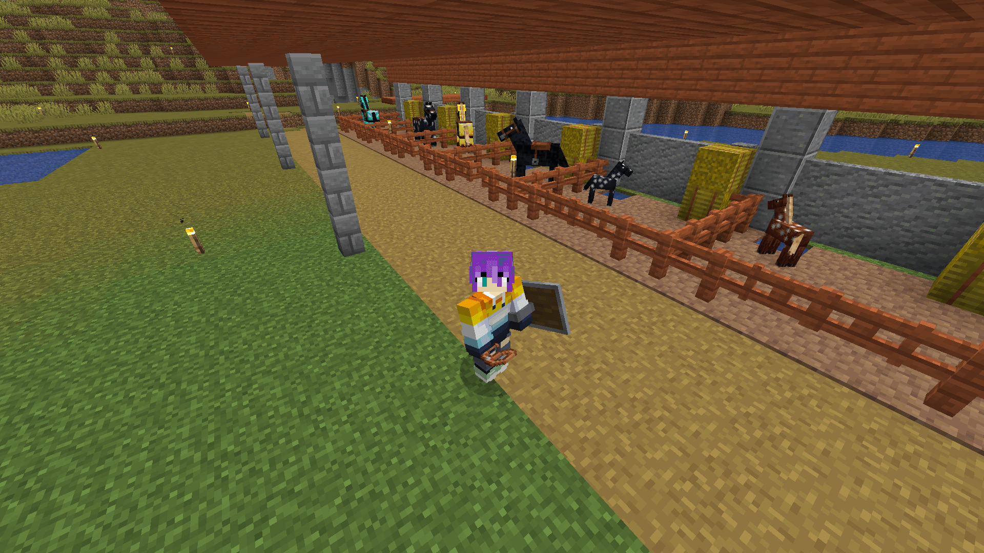 Hay? Or Neigh? 🐴 A Minecraft player stands in front of a line of horse pens.
