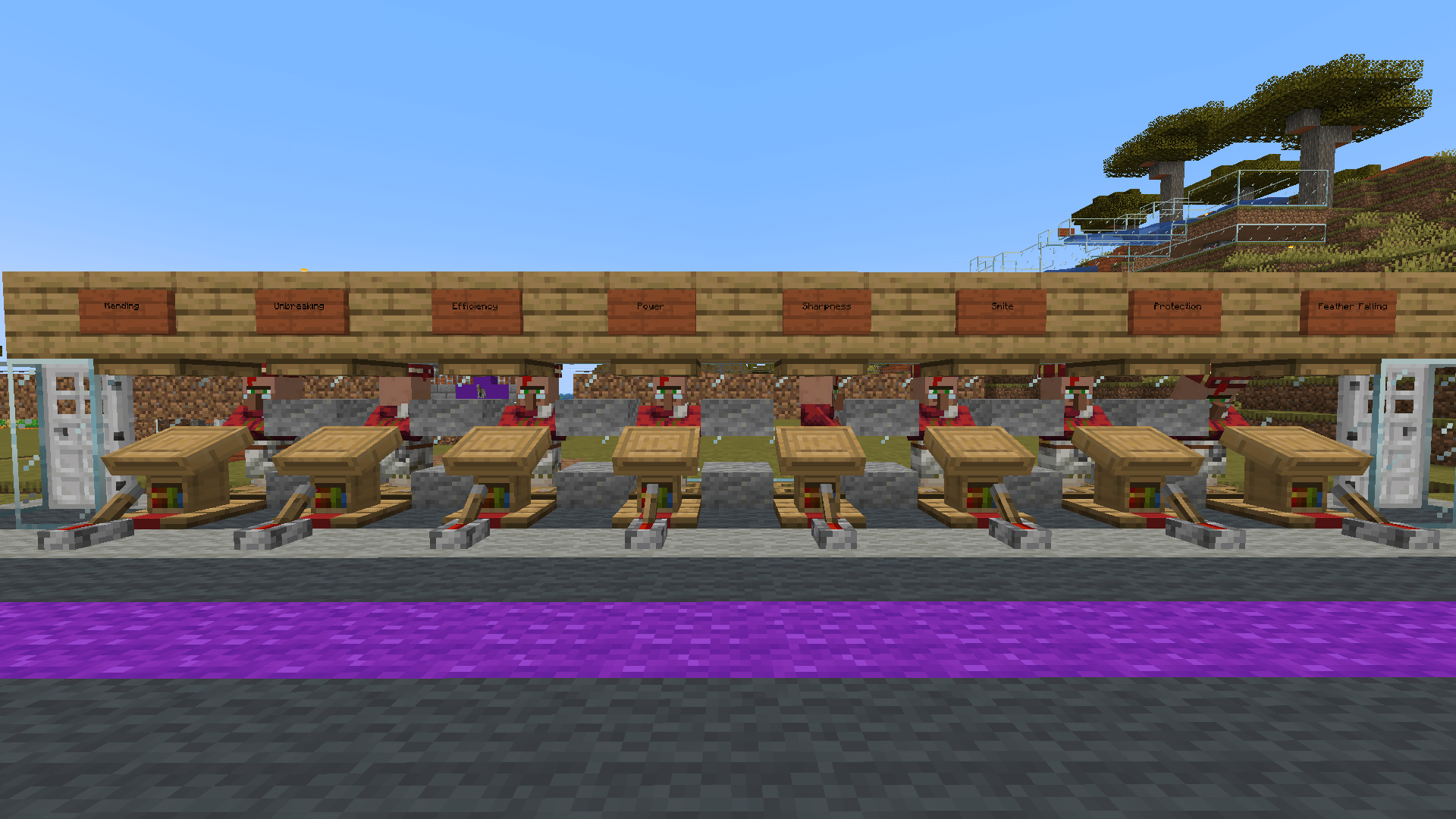 Only the top level enchantments – I won't saddle for less! A row of librarian villagers signposted with their enchanted book trades.