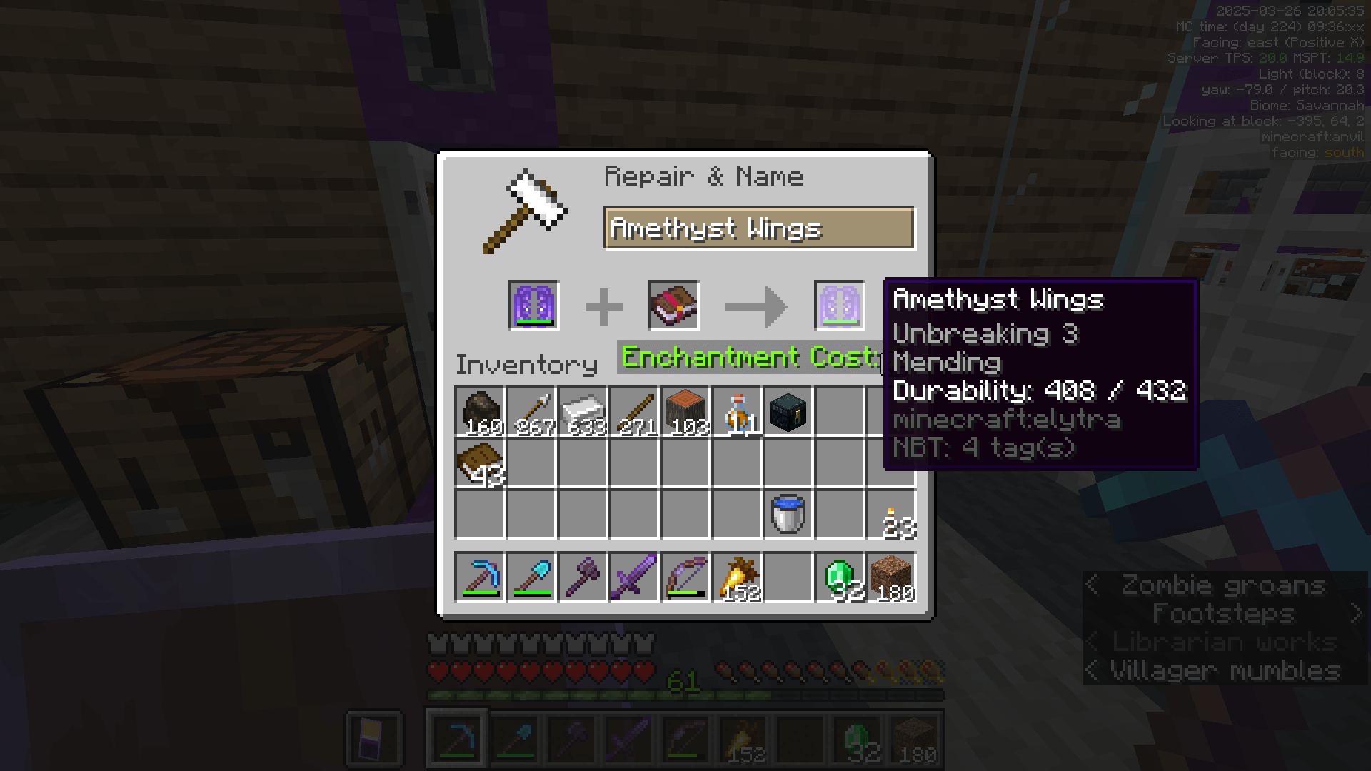 Standard Minecraft progression. Enchanting the elytra with Unbreaking and Mending, and renaming them to Amethyst Wings.