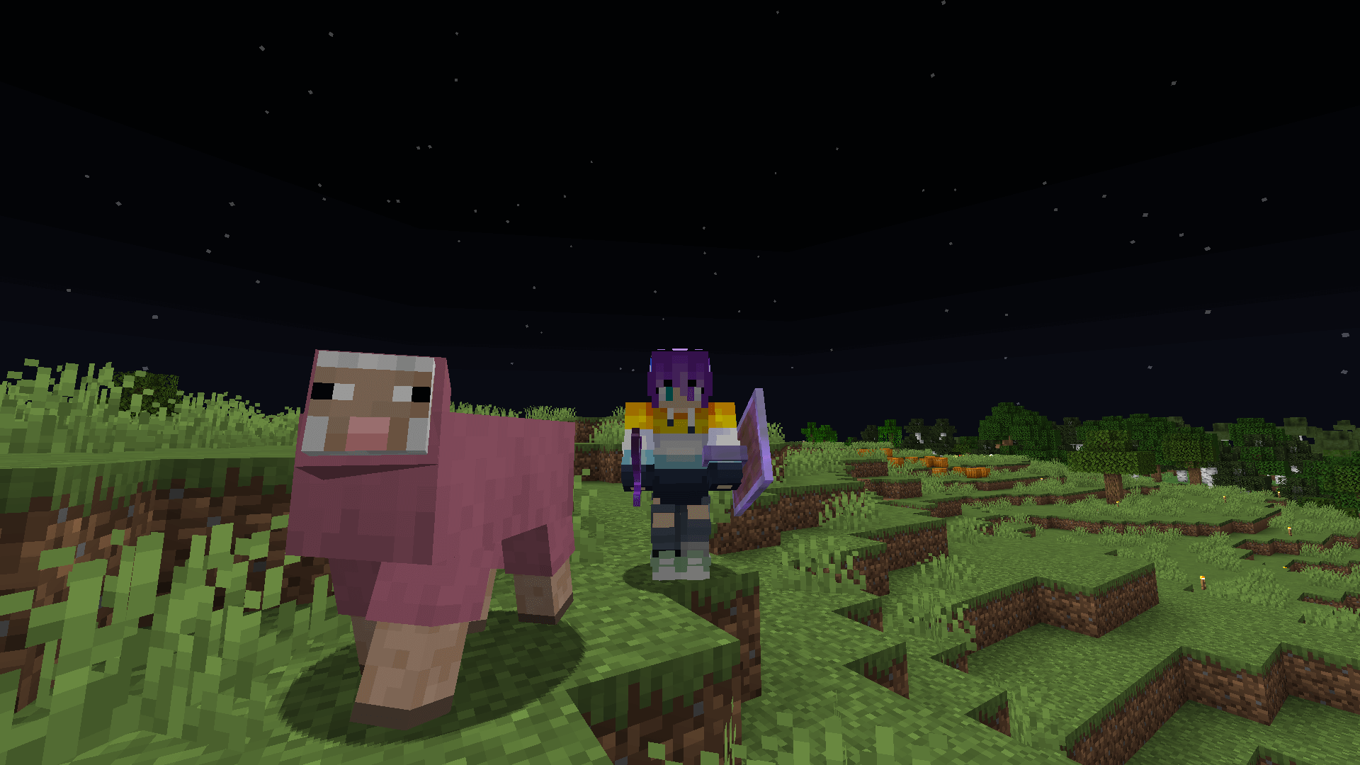 A pink sheep and a minecraft player in a plains biome at night.