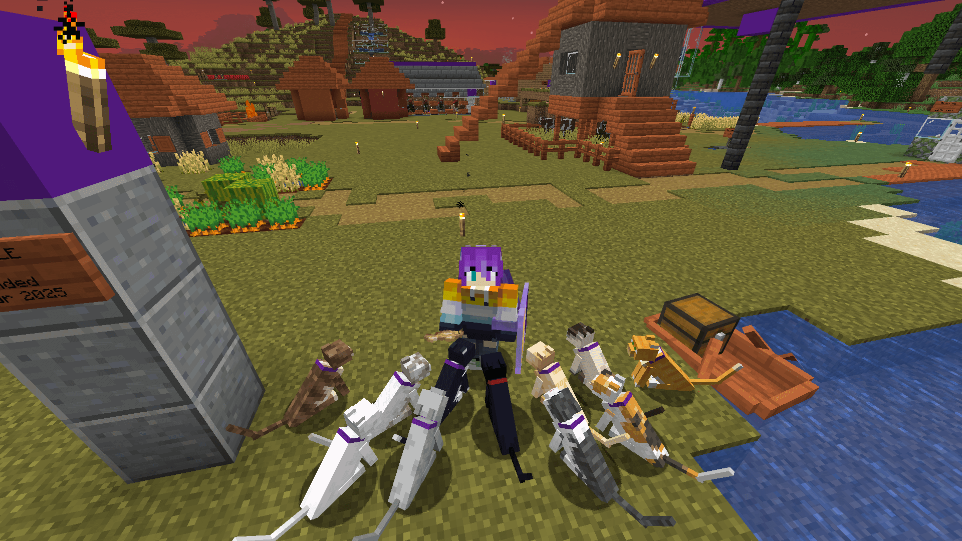 MeeOoow! :3 A Minecraft player with eleven cats, one of each type.