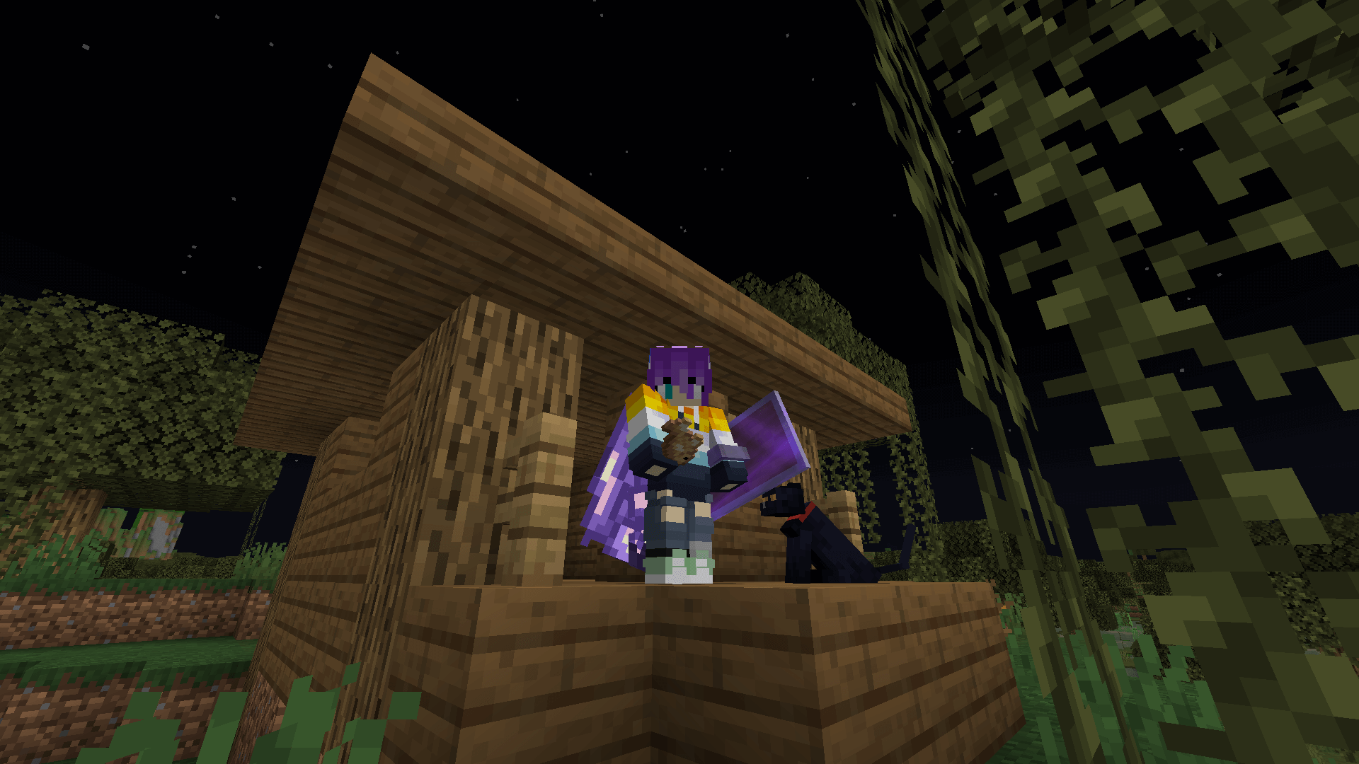 Weenie Hut Jr's?! A Minecraft player and a black cat stand on the porch of a witch hut.