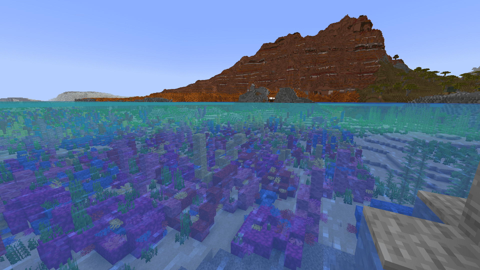 A coral ocean with a mesa mountain behind. Some cobwebs are visible near the centre of view.