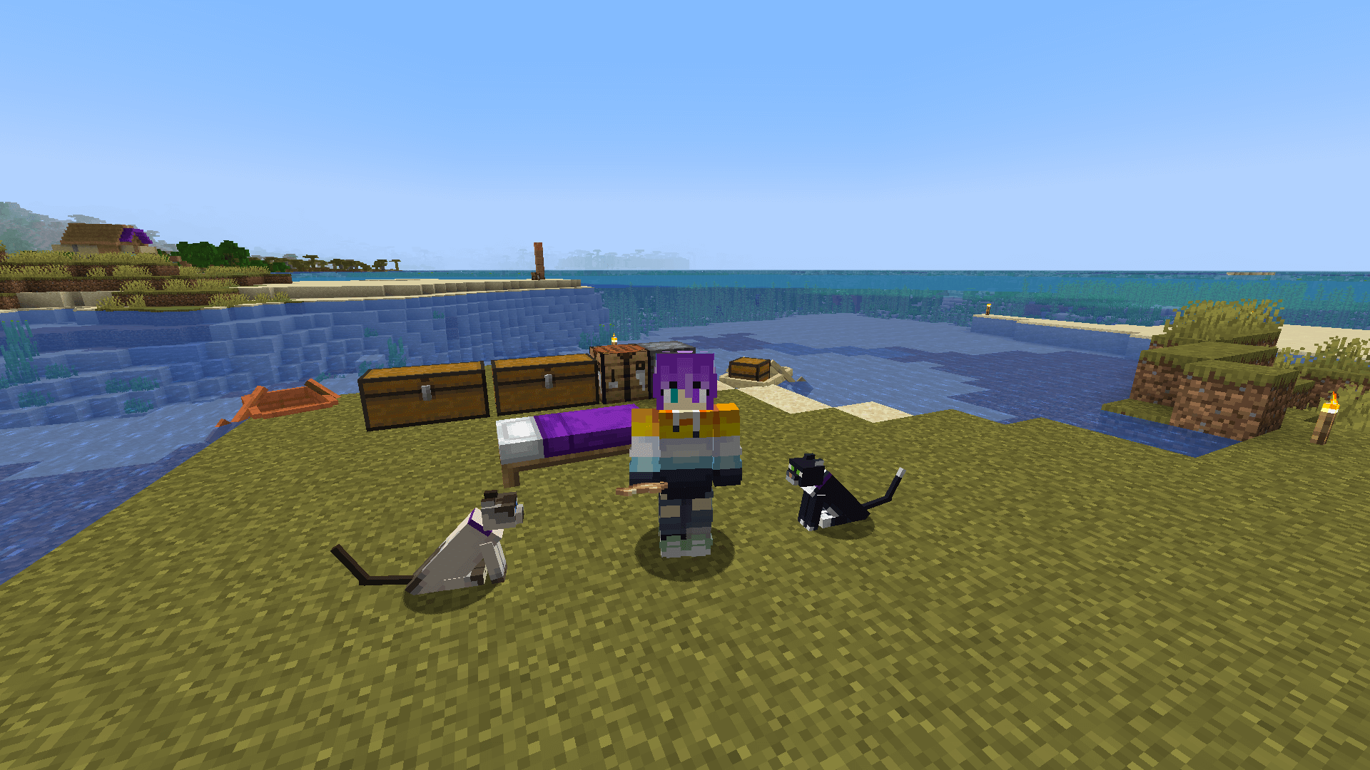 It begins. A Minecraft player with a siamese cat to their left and a tuxedo cat to their right. Both cats are looking at the player.