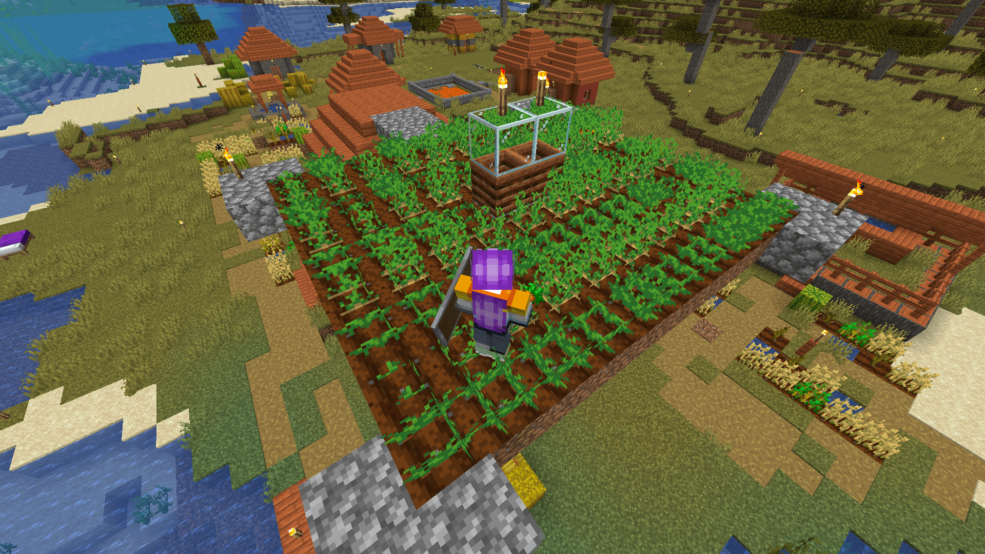 Not your average raised garden bed. A 10x9 carrot and potato farm.