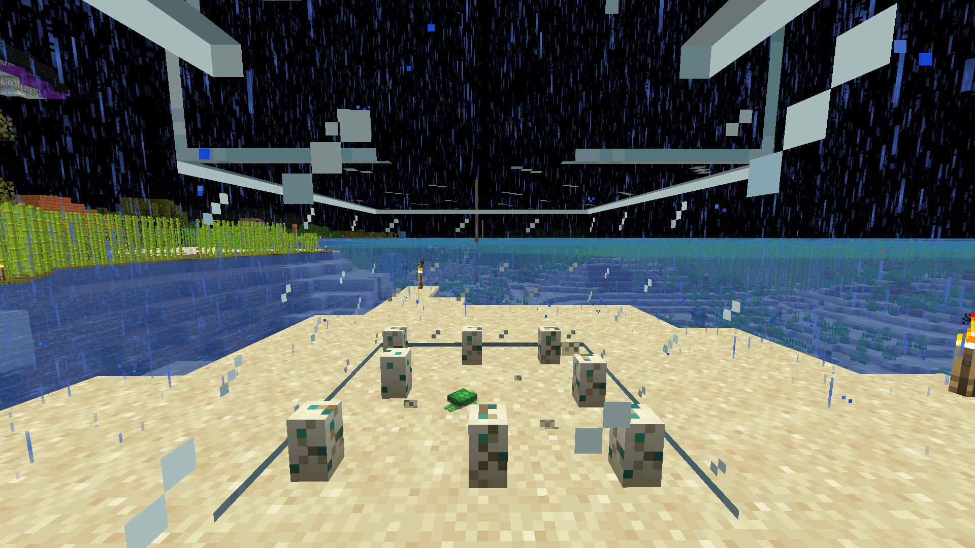 Close up view of a baby turtle in a glass enclosure, with eight turtle eggs in various stages of cracking.