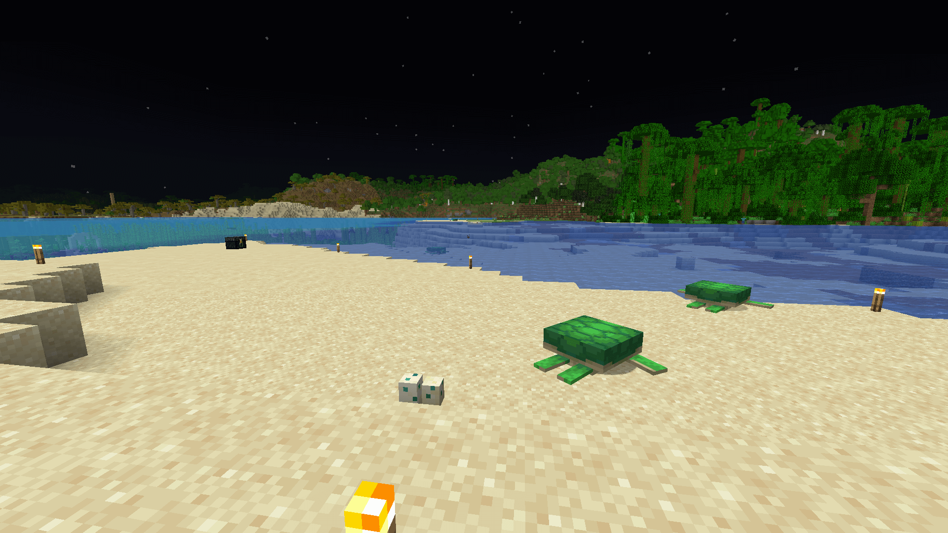 A wide beach, with two turtles and a pair of turtle eggs in the foreground. Another turtle swims in the water in the centre of view.