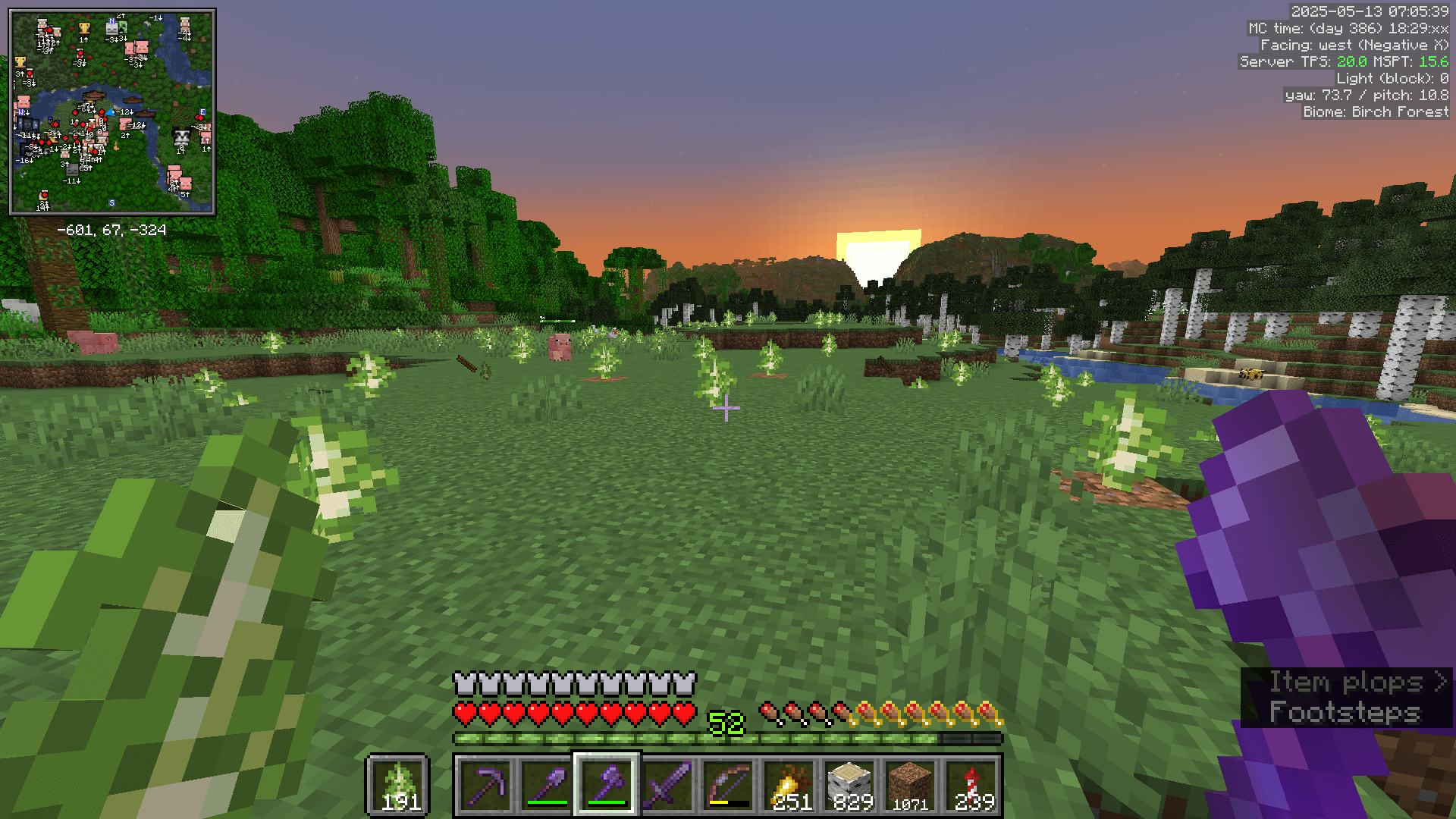 A small riverside birch forest at sunset. The trees have been cut down and saplings planted in their place. The player's inventory contains 800 logs and 200 saplings.