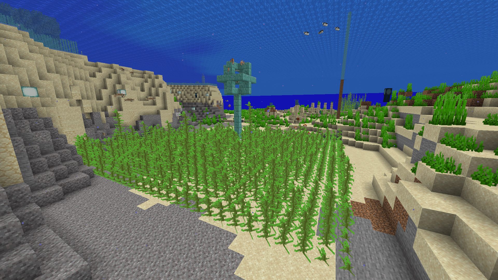 A square of kelp planted out around a conduit near a beach.