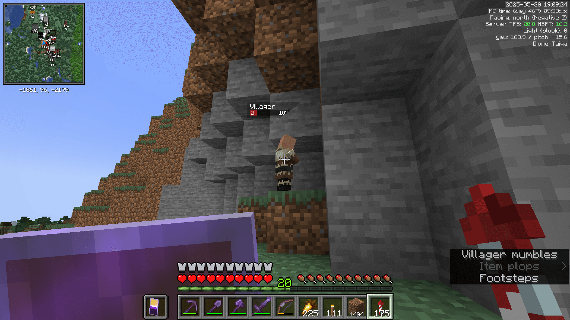 A baby villager on a mountainside. A modded GUI shows that the villager has only 2 of 20 HP.