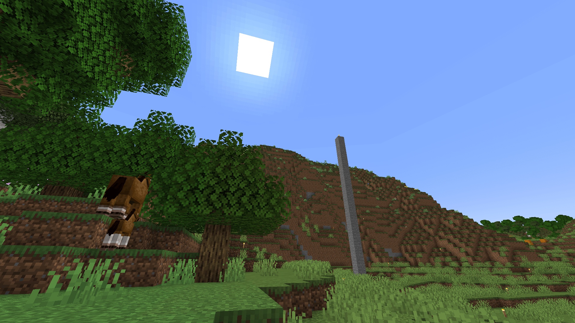 A meadow hill, with the sun in the sky overhead. There is a patch of forest in the foreground on the left.