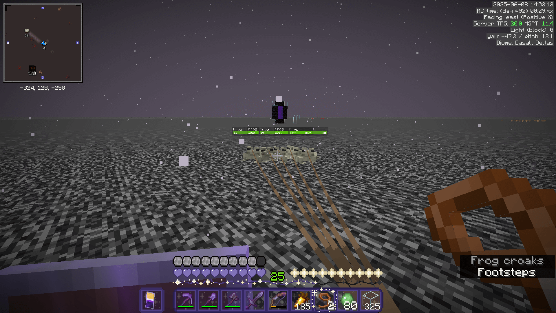 Walking a group of white frogs on leads on the nether roof.