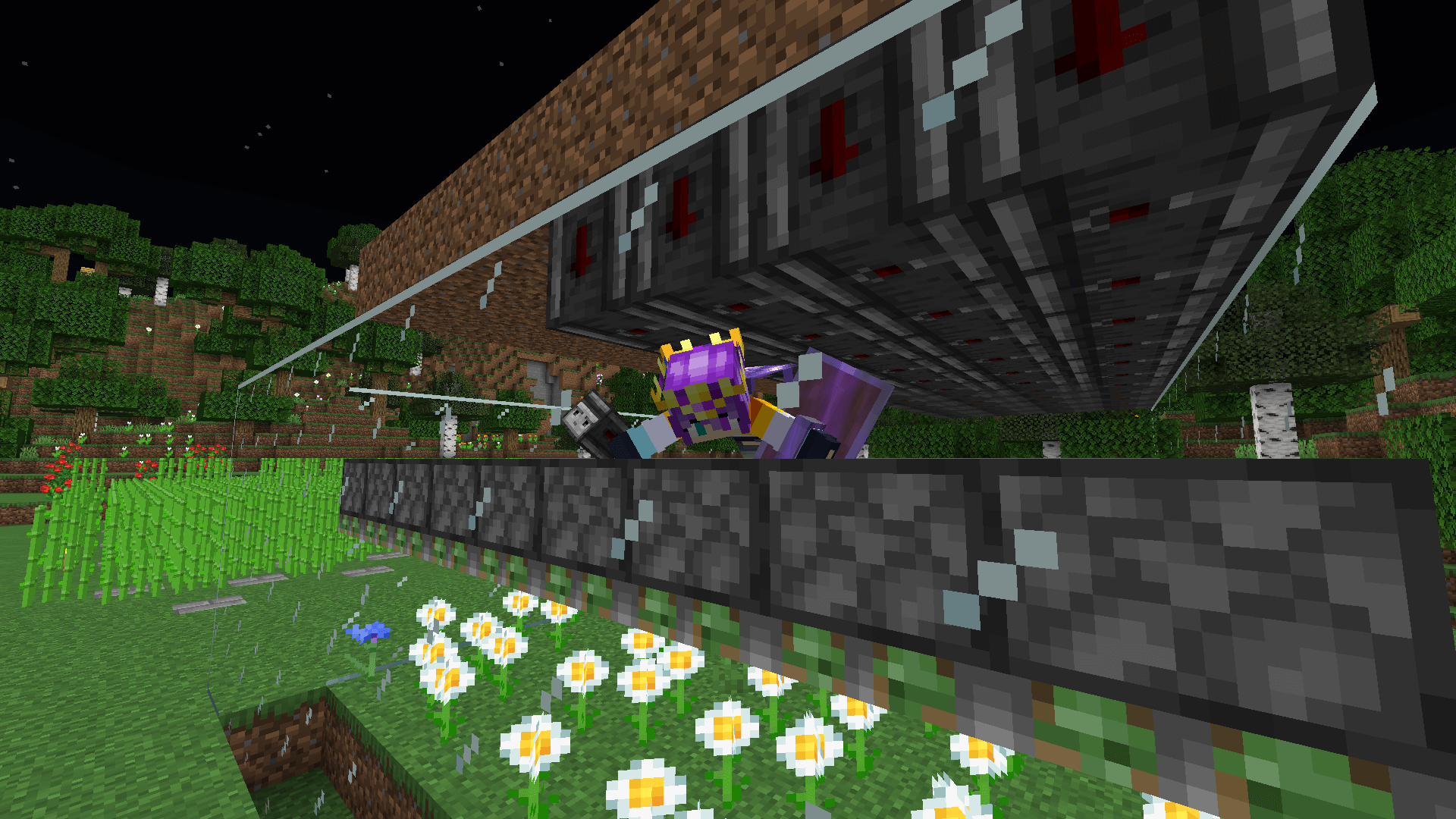 Ela crawls inside a redstone contraption to place upward-facing observers between the sticky pistons below and the dirt above.