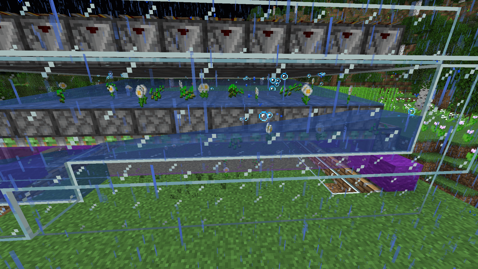 An automatic oxeye daisy farm in action, producing daising and wheat seeds and funneling them to a collection point.