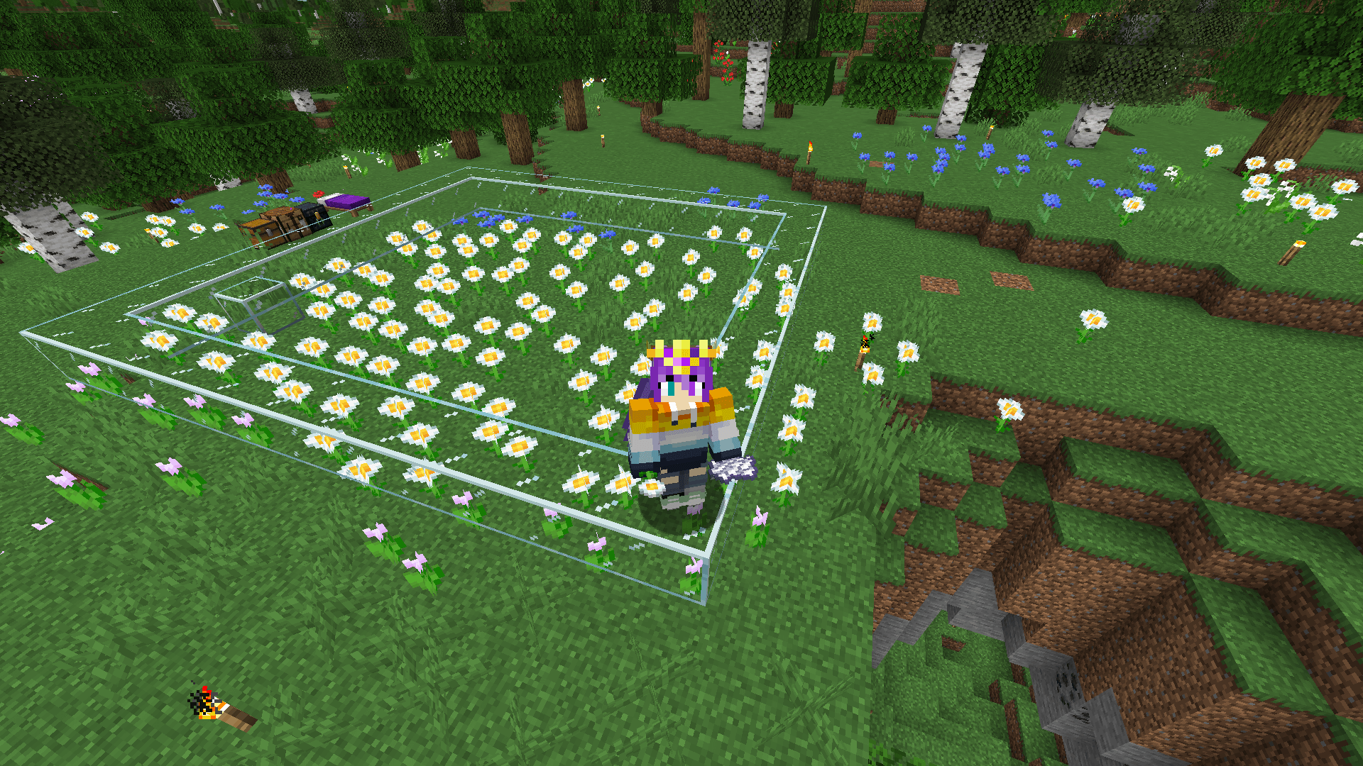 Ela stands on the corner of a glass square in a flower forest biome. Inside the square is a large cluster of oxeye daisies.