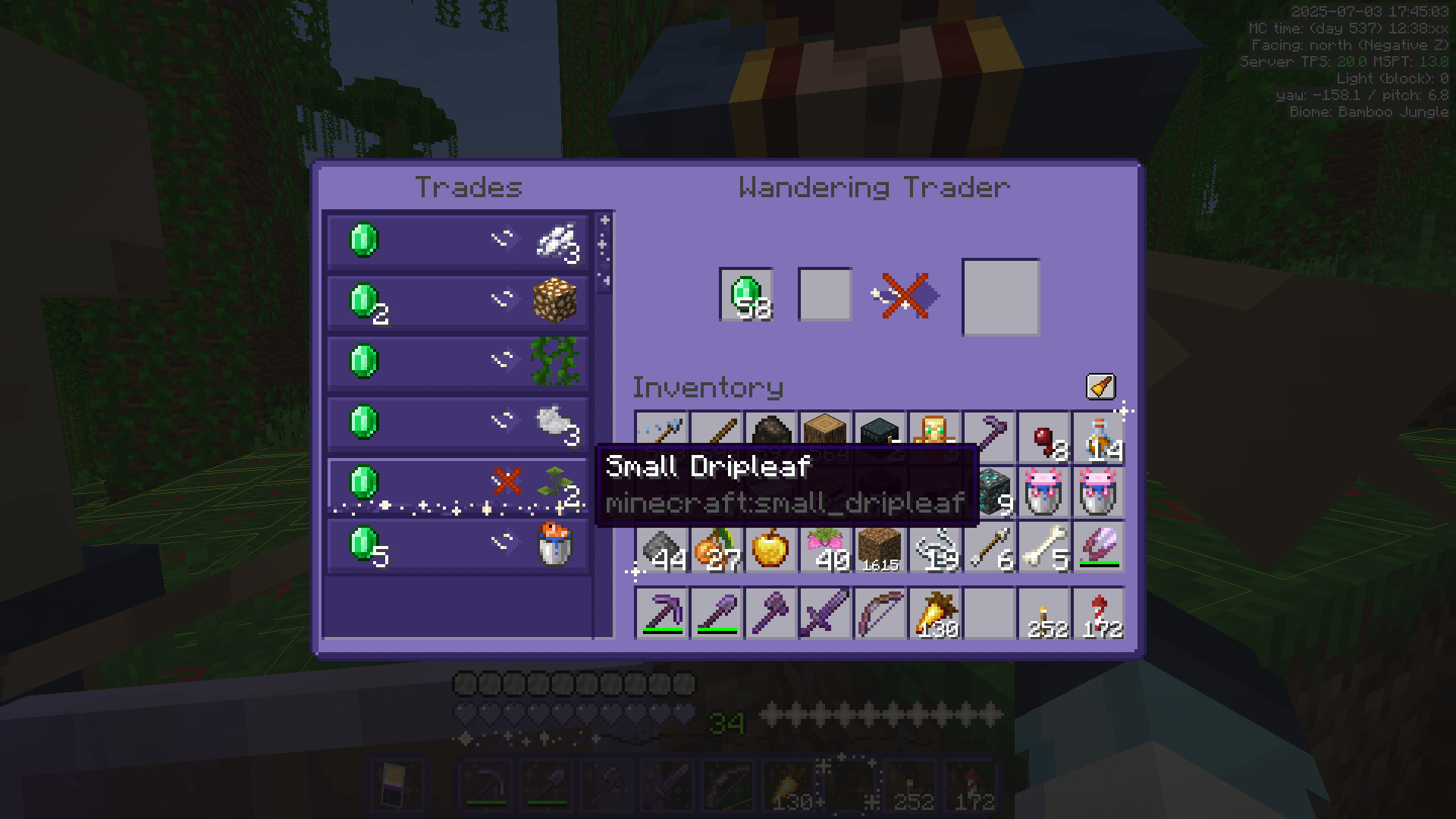 Wandering trader GUI showing small dripleaf for sale.