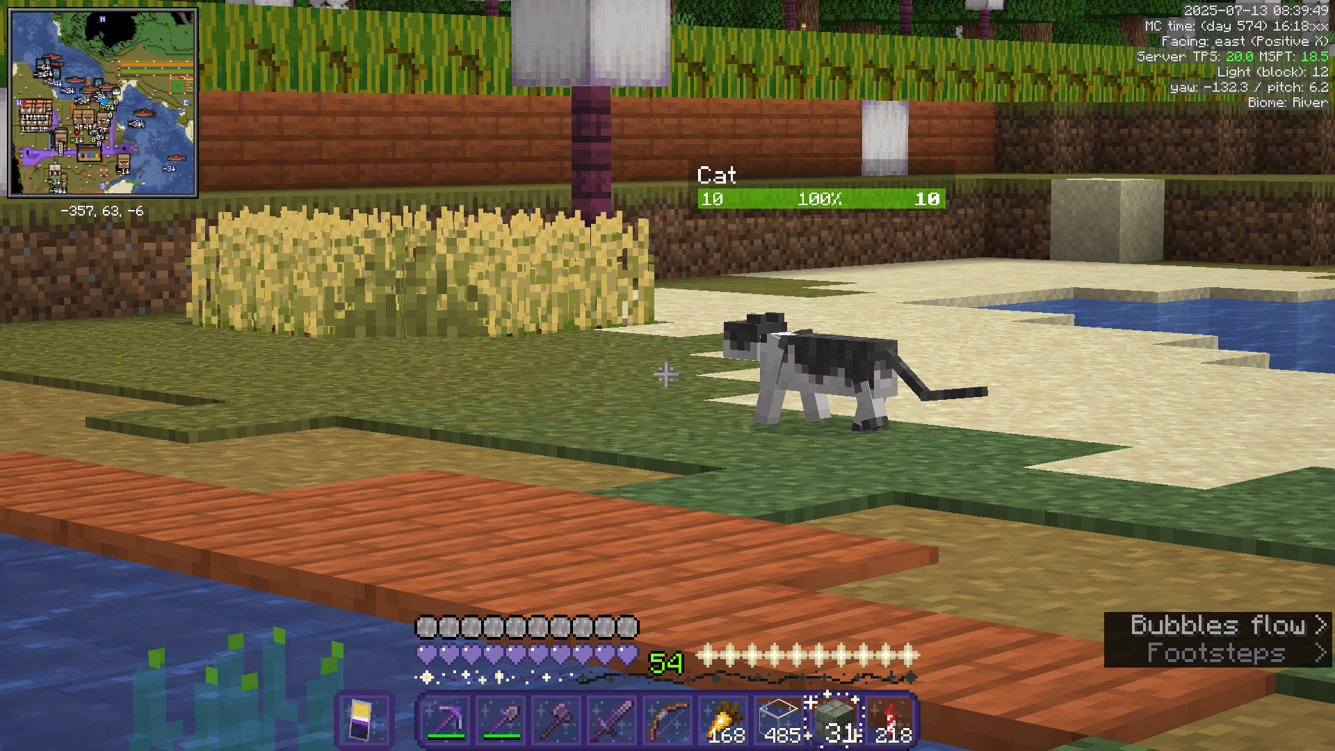 A stray jellie cat wanders towards some wheat and melon crops.