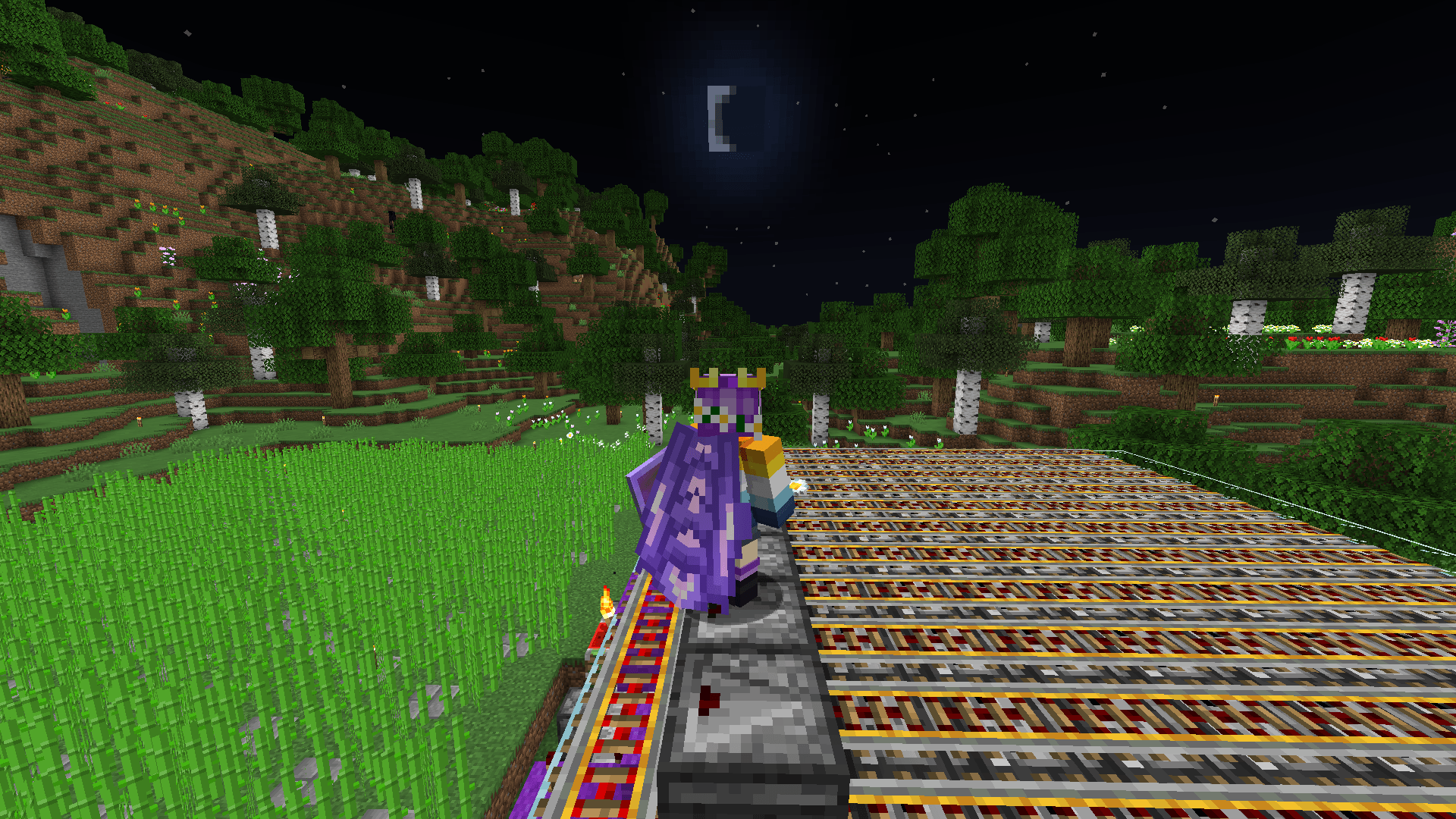 Ela stands on top of a flower farm, in the flower forest biome, holding a flower, and with flowers in their hair.