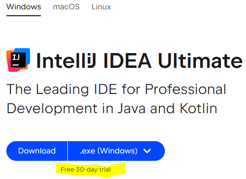 Snippet from the IntelliJ IDEA download page, apparently advertising the 'Ultimate Edition' with a 30 day free trial.