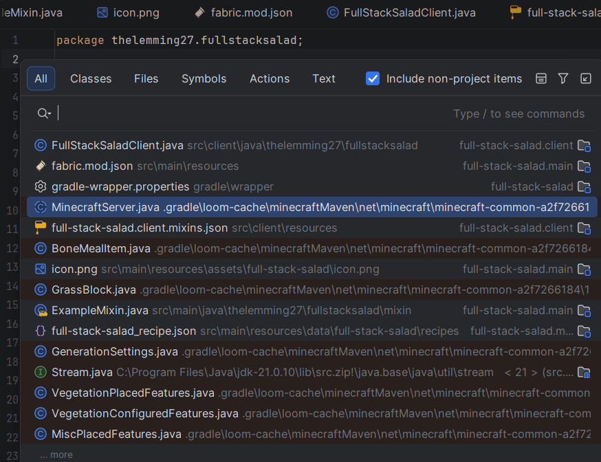 Code search window in IntelliJ IDEA.